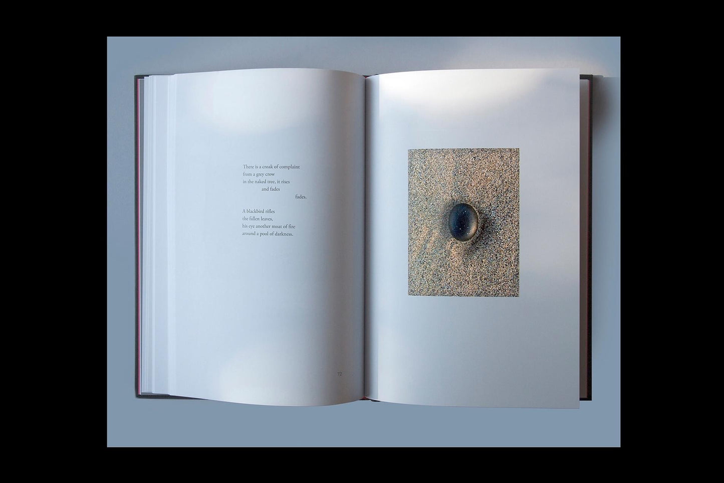 The Last of the Light (Hardback)